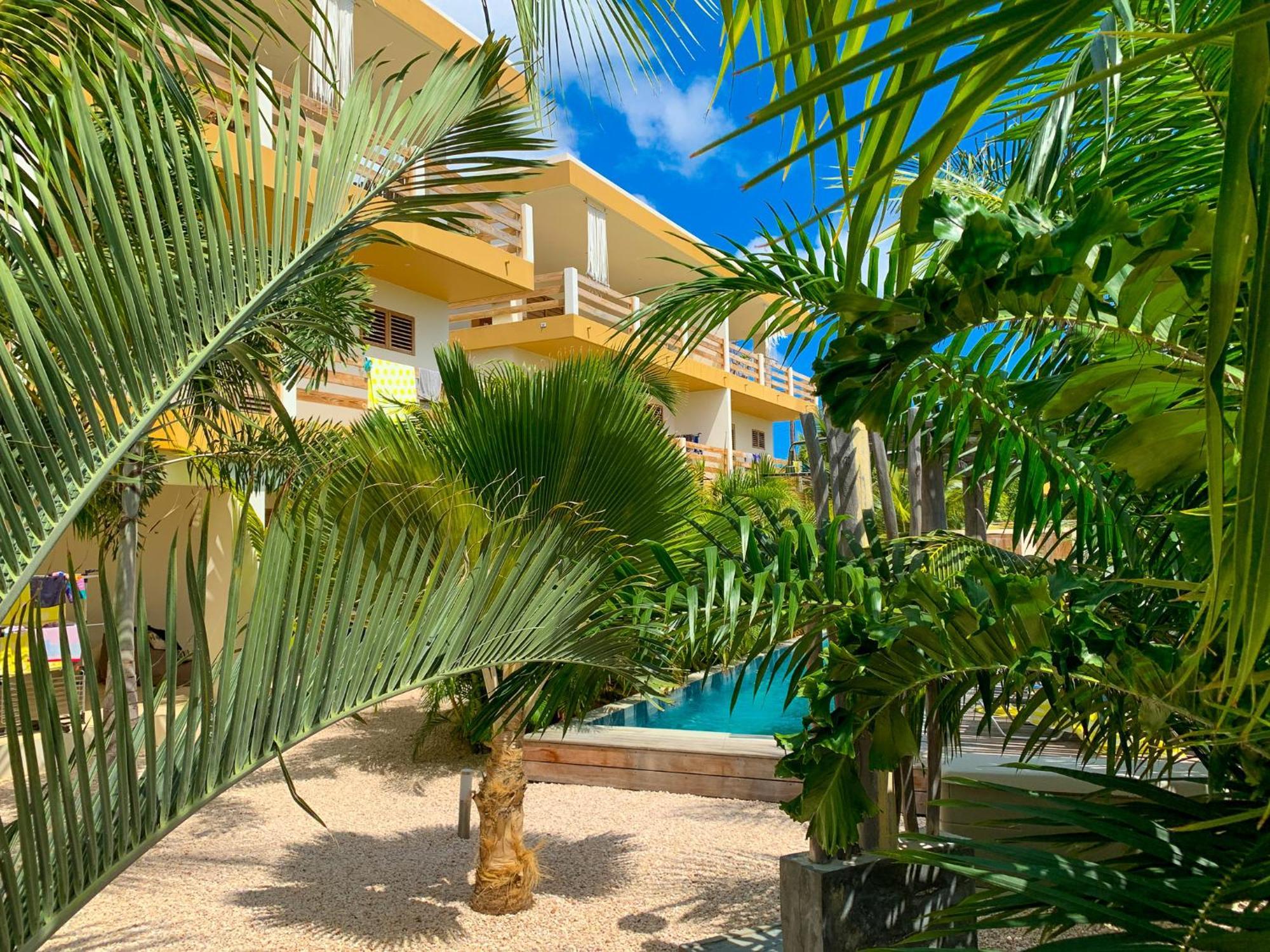 Isla Penthouse & Garden Apartments Bonaire Кралендейк Екстер'єр фото